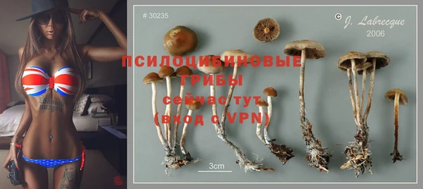 каннабис Абаза